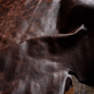  - guadalajara,zapopan