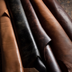  - guadalajara,jalisco