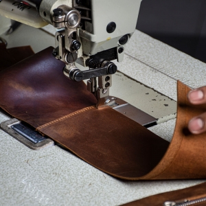  - jalisco,guadalajara