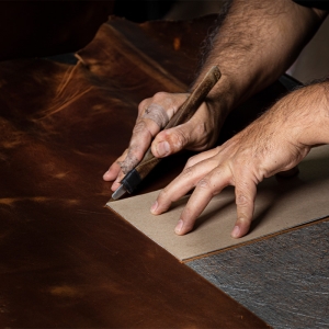  - guadalajara,zapopan